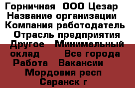 Горничная. ООО Цезар › Название организации ­ Компания-работодатель › Отрасль предприятия ­ Другое › Минимальный оклад ­ 1 - Все города Работа » Вакансии   . Мордовия респ.,Саранск г.